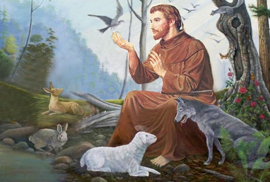 st. Francis preaching